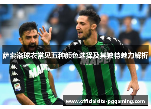 萨索洛球衣常见五种颜色选择及其独特魅力解析 萨索洛球衣常见五种颜色选择及其独特魅力解析