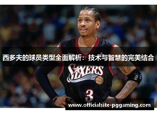 西多夫的球员类型全面解析:技术与智慧的完美结合 西多夫的球员类型全面解析:技术与智慧的完美结合