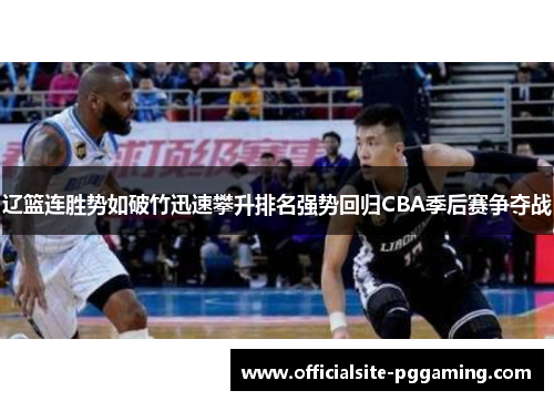 辽篮连胜势如破竹迅速攀升排名强势回归CBA季后赛争夺战