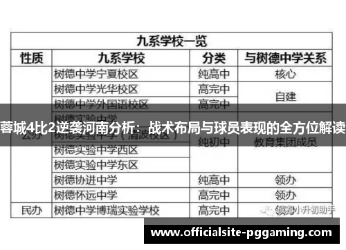 蓉城4比2逆袭河南分析：战术布局与球员表现的全方位解读