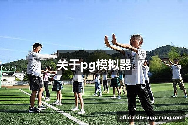 关于pg模拟器